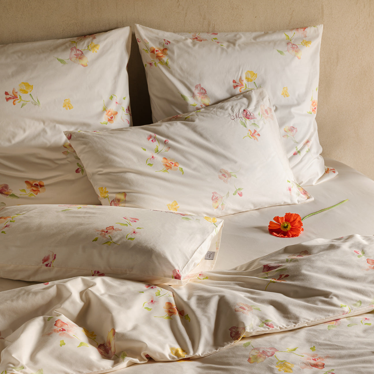 Outlet - Dalfilo